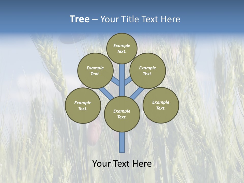 Cereals Grain Health PowerPoint Template