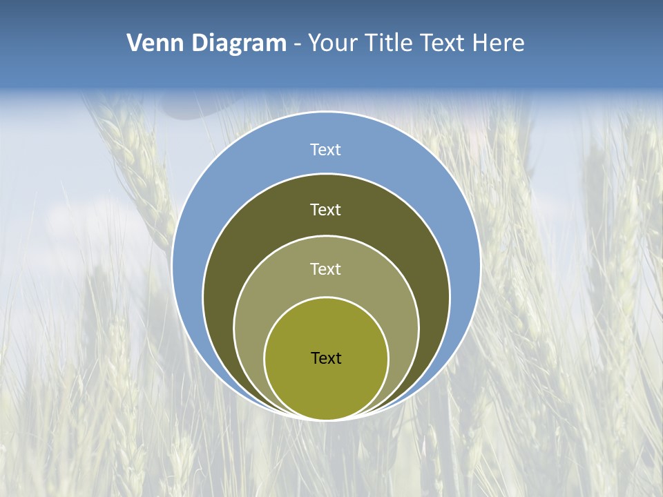 Cereals Grain Health PowerPoint Template