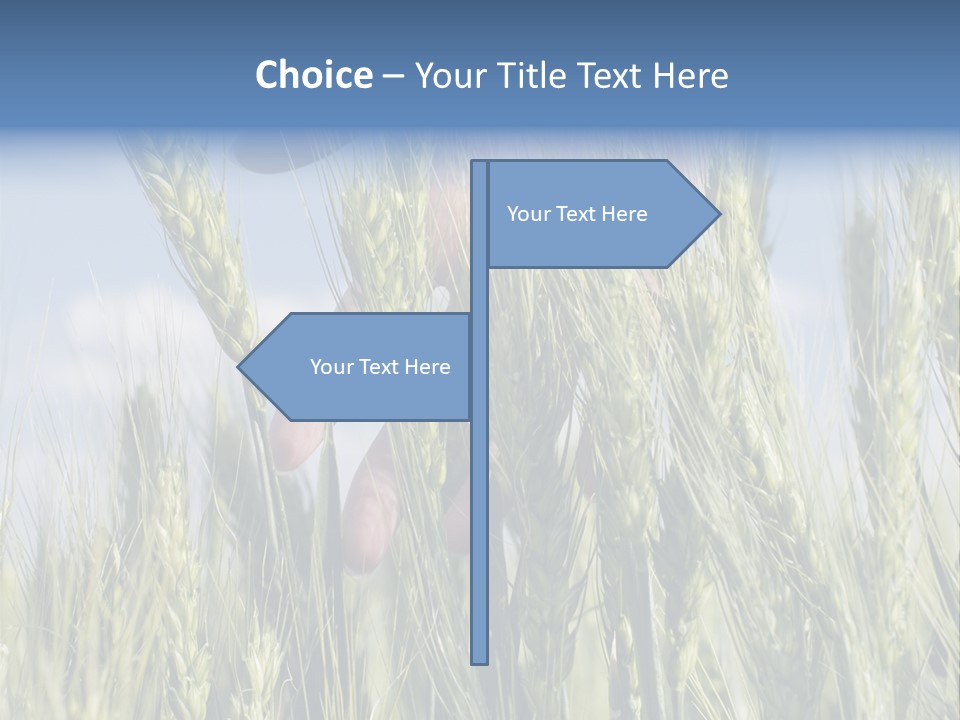 Cereals Grain Health PowerPoint Template