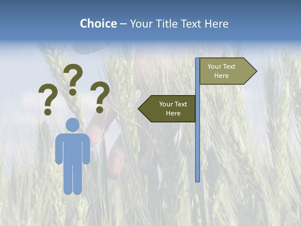 Cereals Grain Health PowerPoint Template