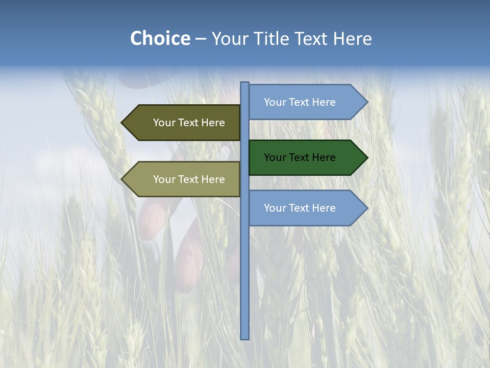 Cereals Grain Health PowerPoint Template