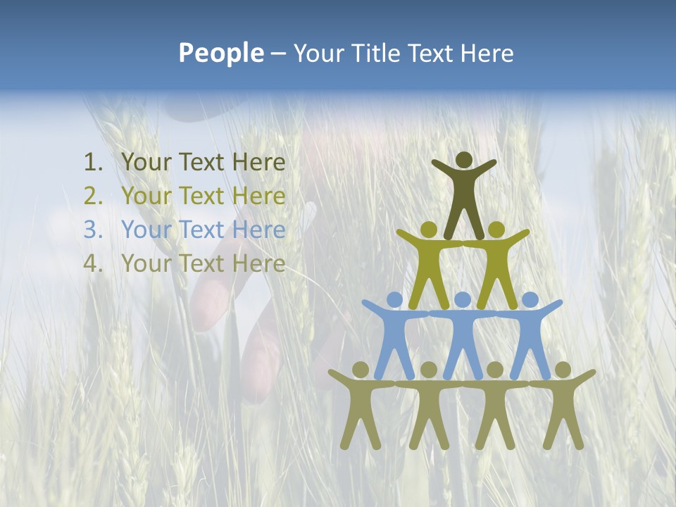 Cereals Grain Health PowerPoint Template