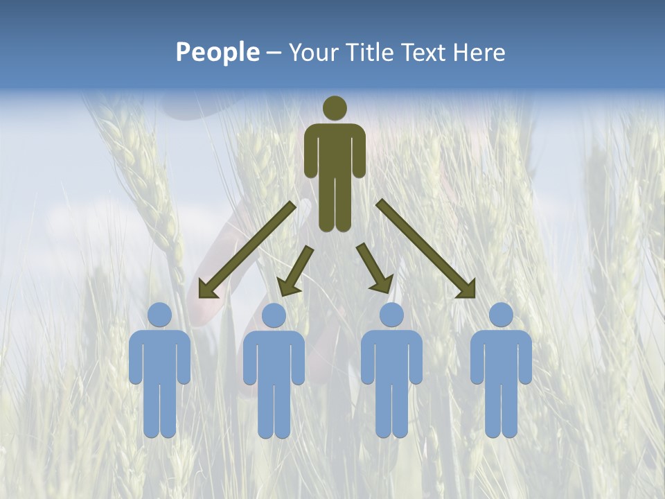 Cereals Grain Health PowerPoint Template