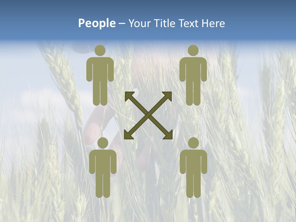 Cereals Grain Health PowerPoint Template