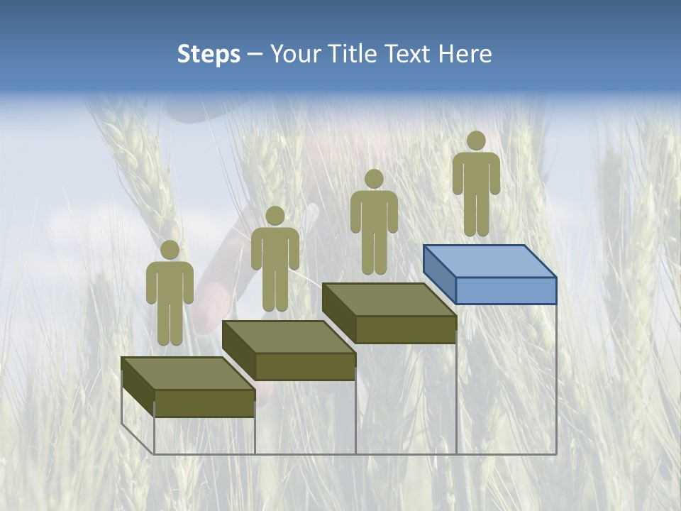 Cereals Grain Health PowerPoint Template