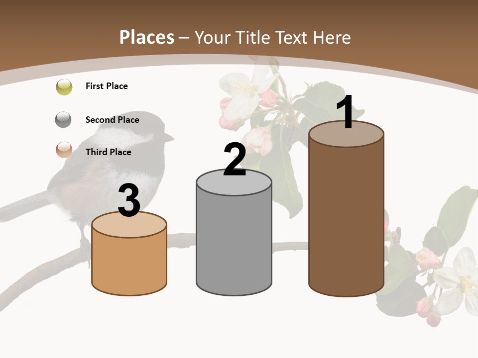 Flight Birding Bill PowerPoint Template