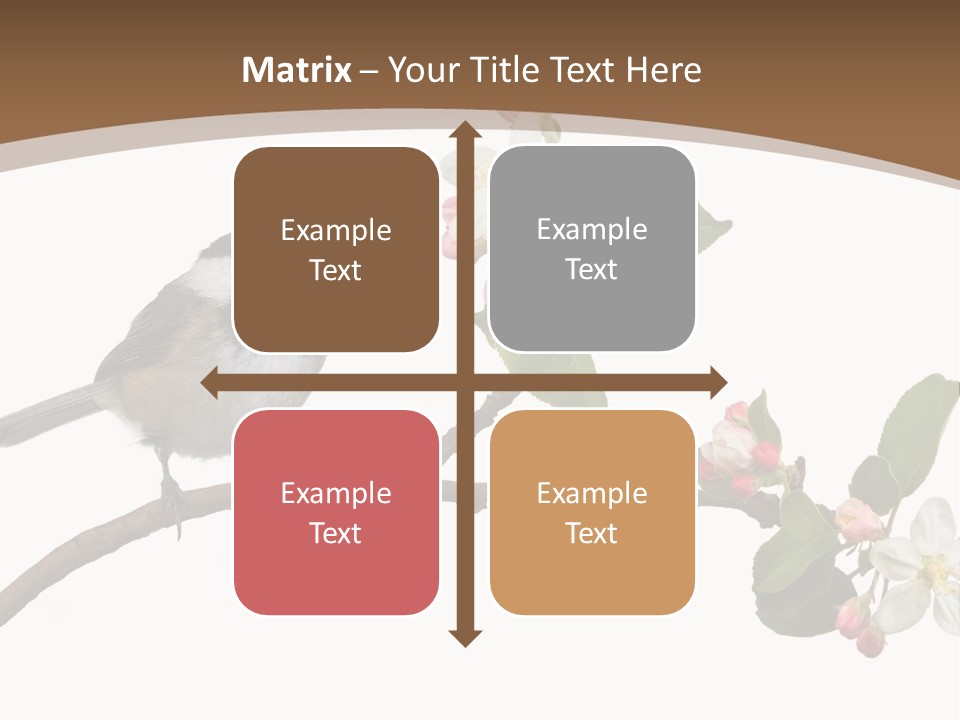 Flight Birding Bill PowerPoint Template