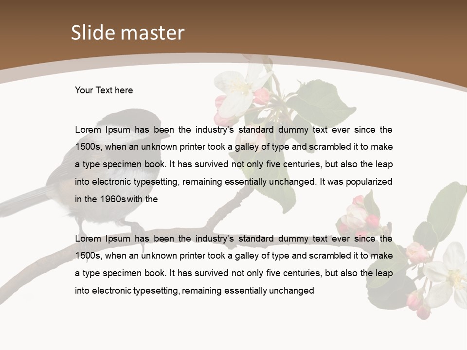 Flight Birding Bill PowerPoint Template