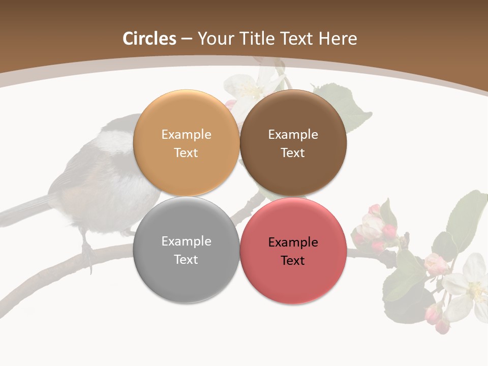 Flight Birding Bill PowerPoint Template