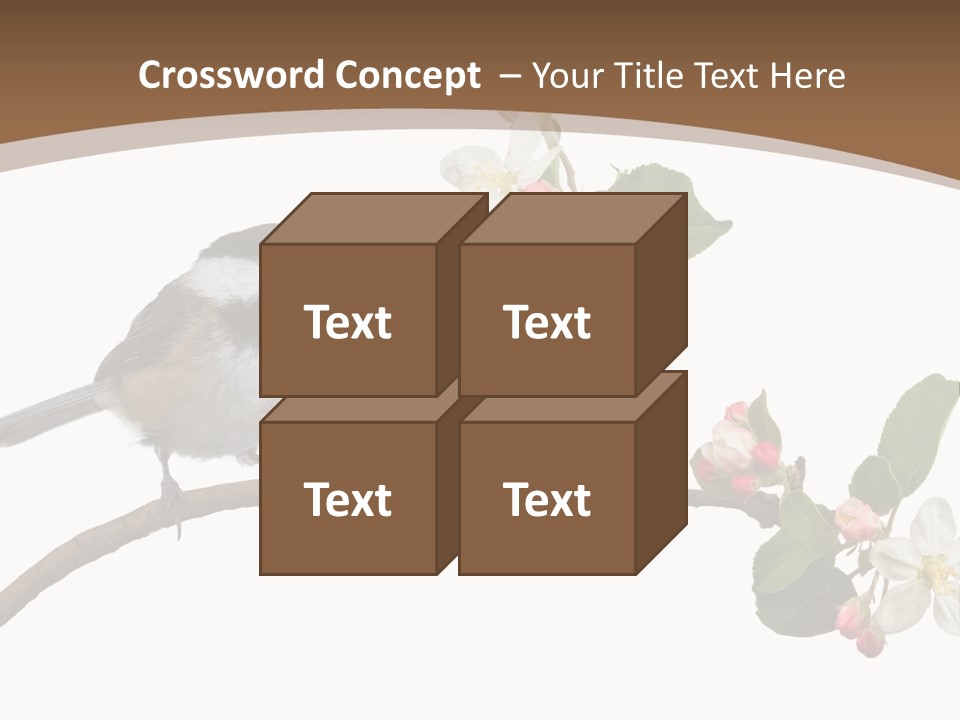 Flight Birding Bill PowerPoint Template