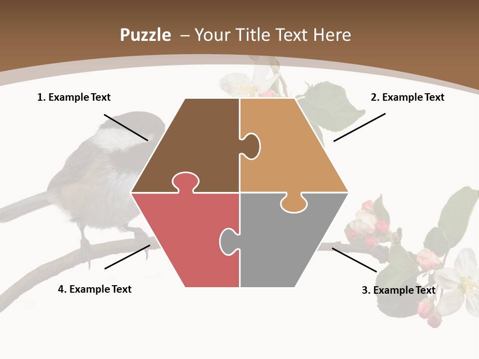 Flight Birding Bill PowerPoint Template