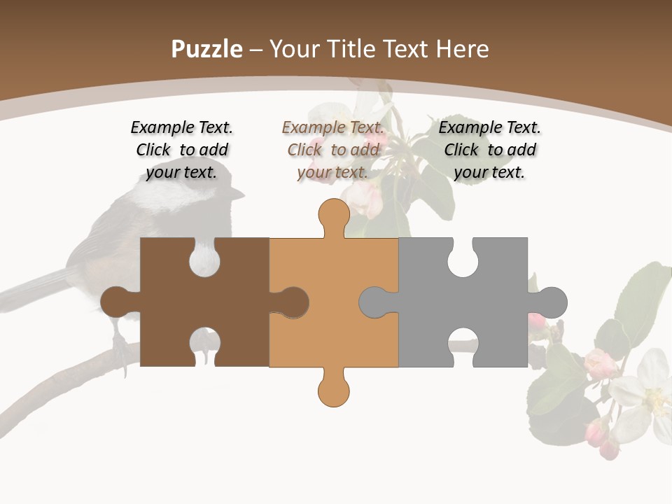 Flight Birding Bill PowerPoint Template