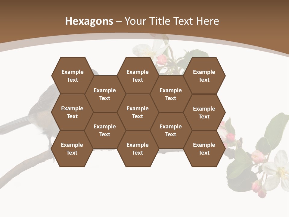 Flight Birding Bill PowerPoint Template