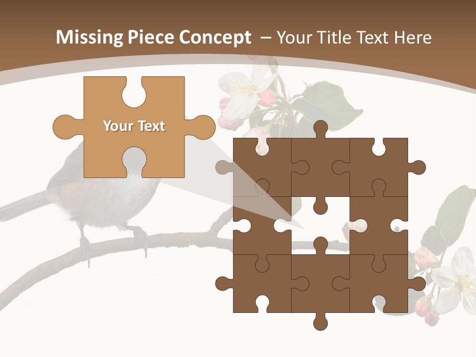 Flight Birding Bill PowerPoint Template