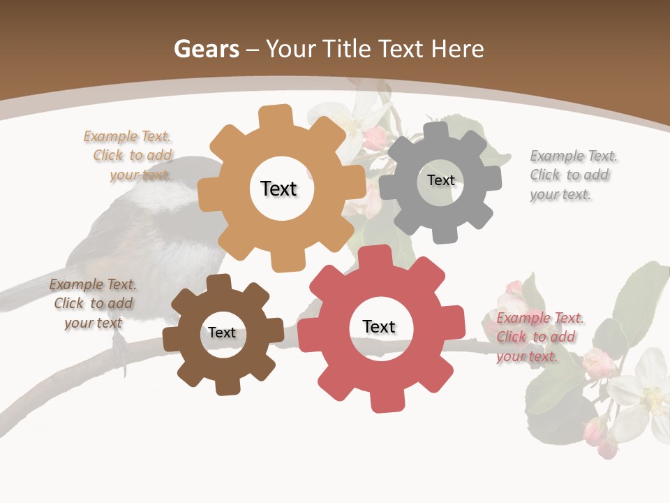 Flight Birding Bill PowerPoint Template