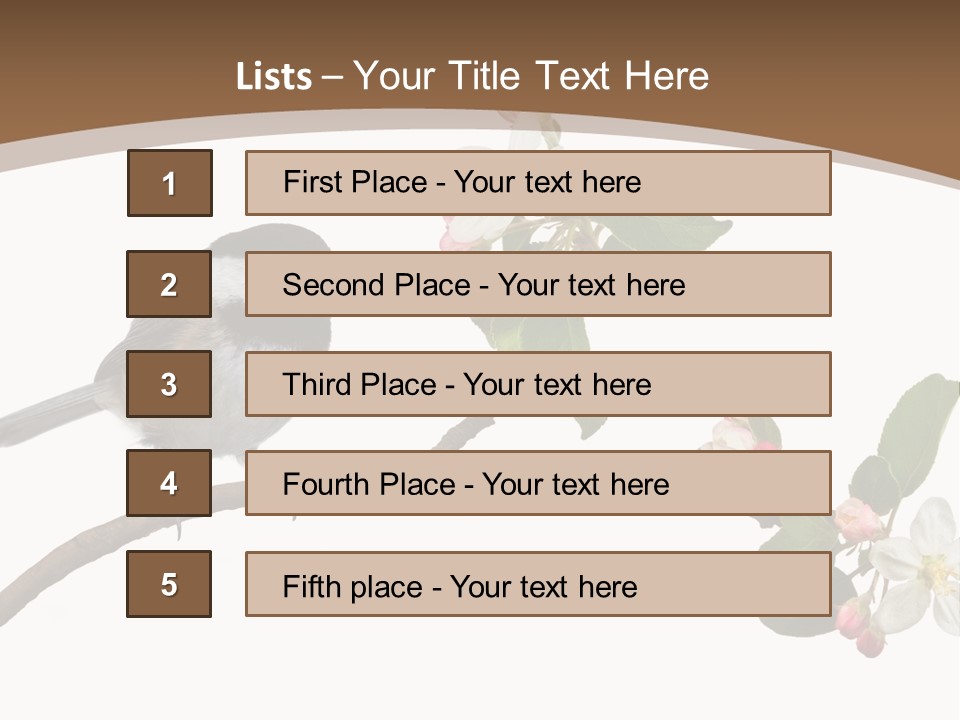 Flight Birding Bill PowerPoint Template