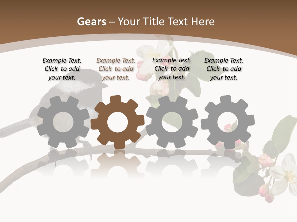 Flight Birding Bill PowerPoint Template