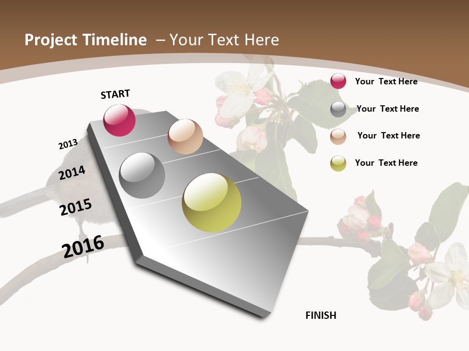 Flight Birding Bill PowerPoint Template