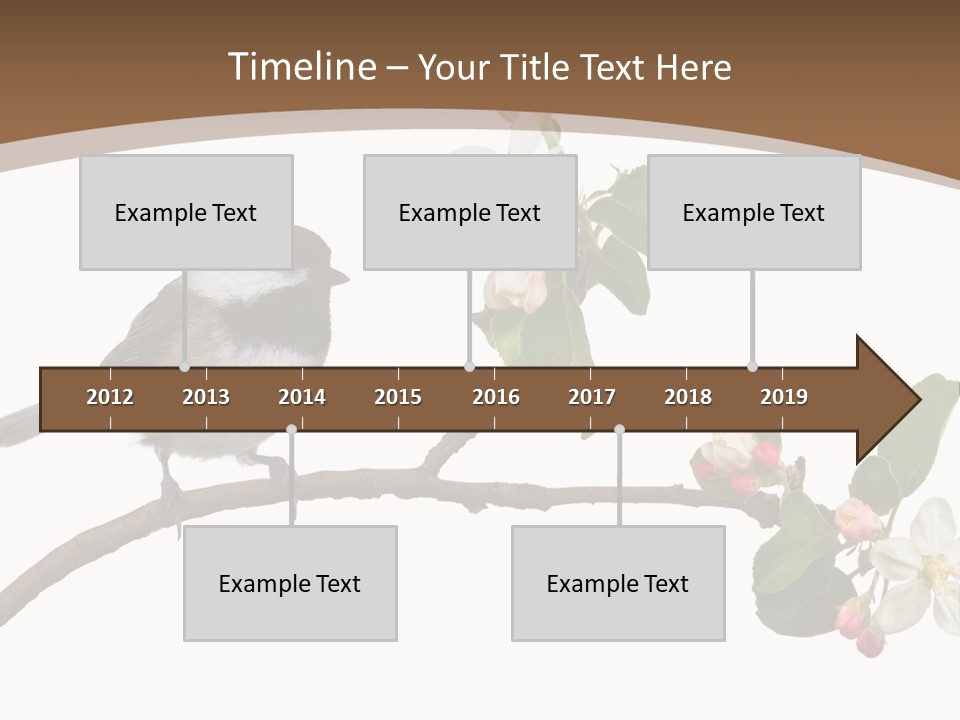 Flight Birding Bill PowerPoint Template