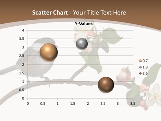 Flight Birding Bill PowerPoint Template