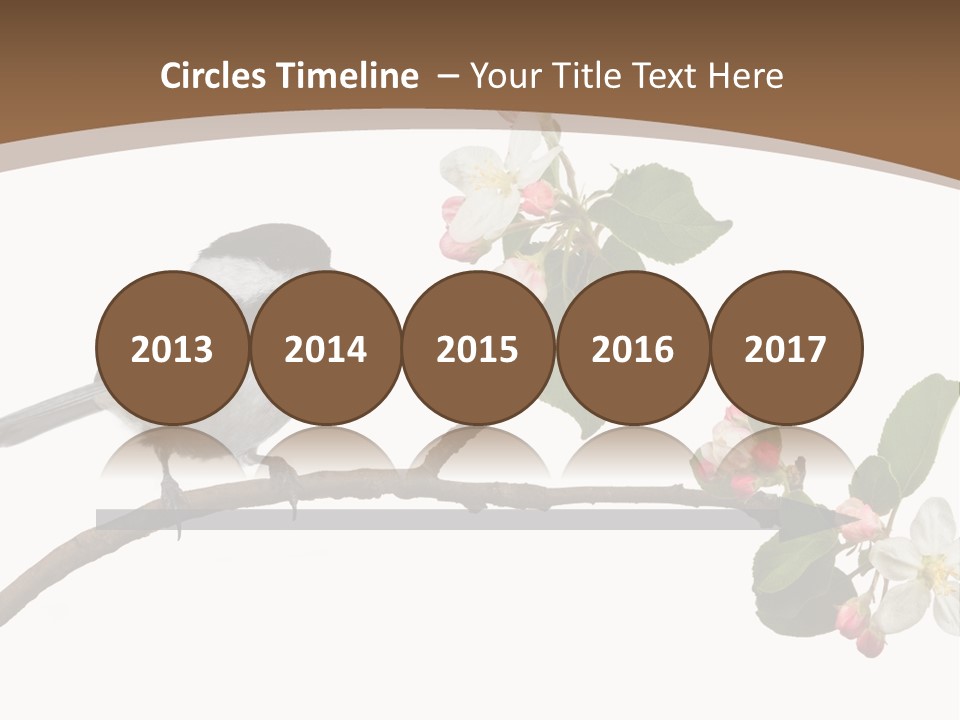 Flight Birding Bill PowerPoint Template