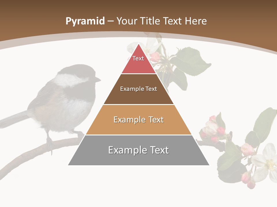 Flight Birding Bill PowerPoint Template