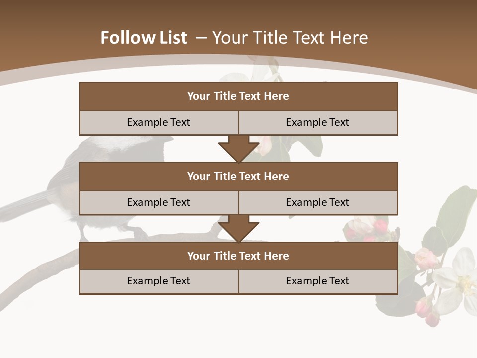 Flight Birding Bill PowerPoint Template