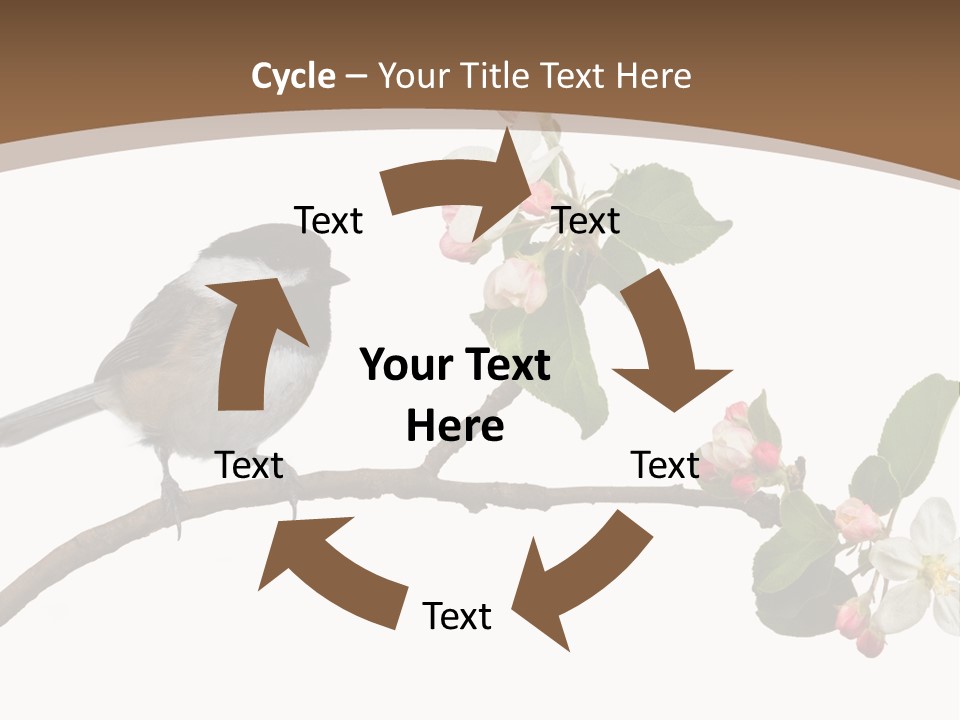 Flight Birding Bill PowerPoint Template