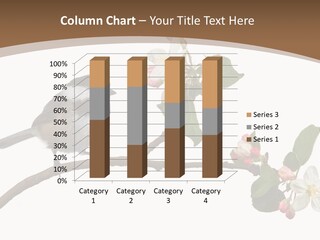 Flight Birding Bill PowerPoint Template