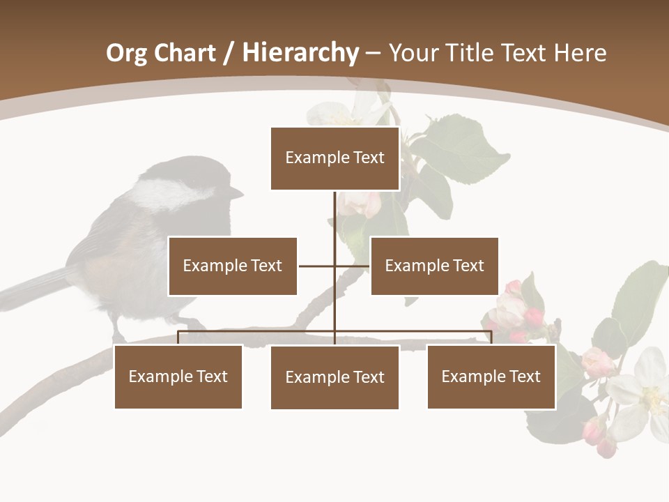 Flight Birding Bill PowerPoint Template
