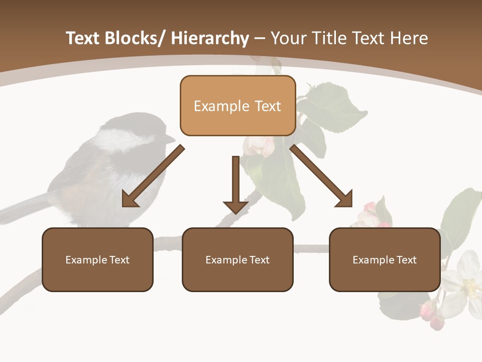 Flight Birding Bill PowerPoint Template