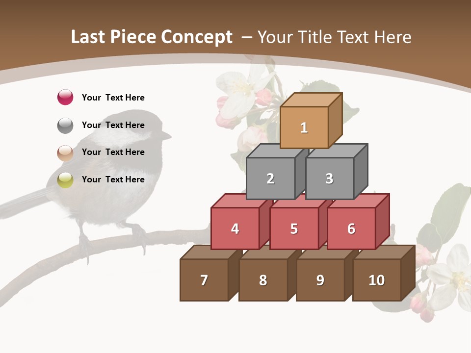 Flight Birding Bill PowerPoint Template