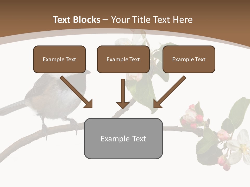 Flight Birding Bill PowerPoint Template