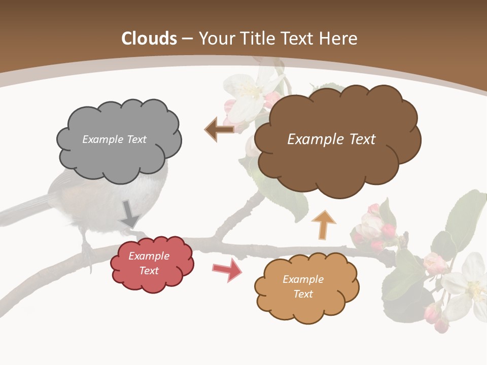 Flight Birding Bill PowerPoint Template
