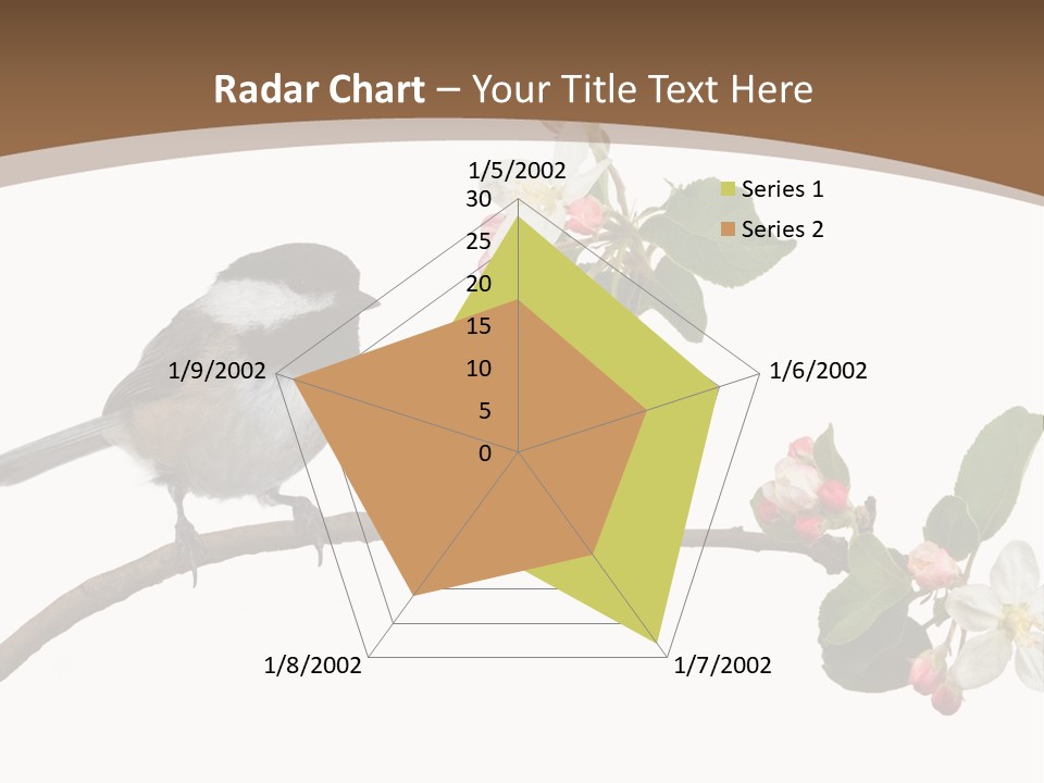 Flight Birding Bill PowerPoint Template