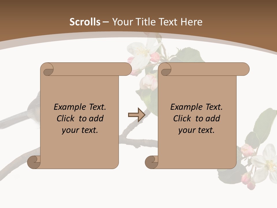 Flight Birding Bill PowerPoint Template