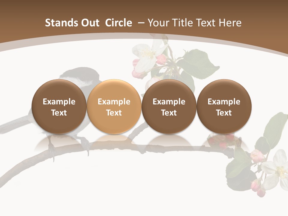 Flight Birding Bill PowerPoint Template