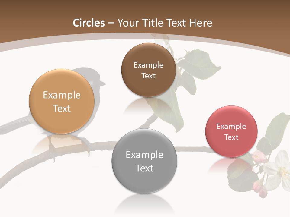 Flight Birding Bill PowerPoint Template