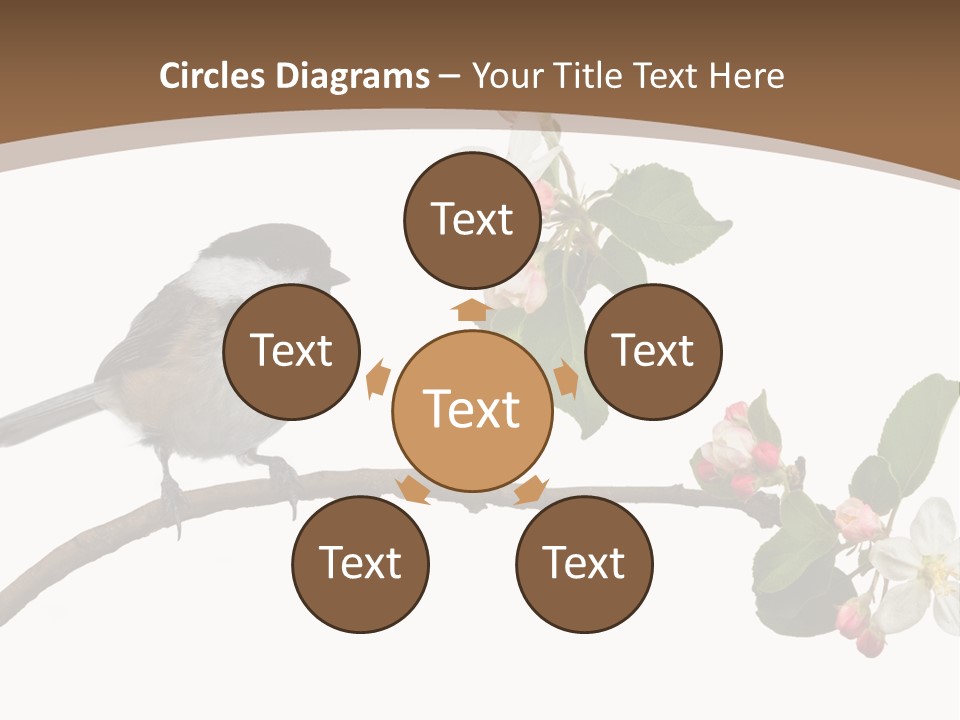 Flight Birding Bill PowerPoint Template