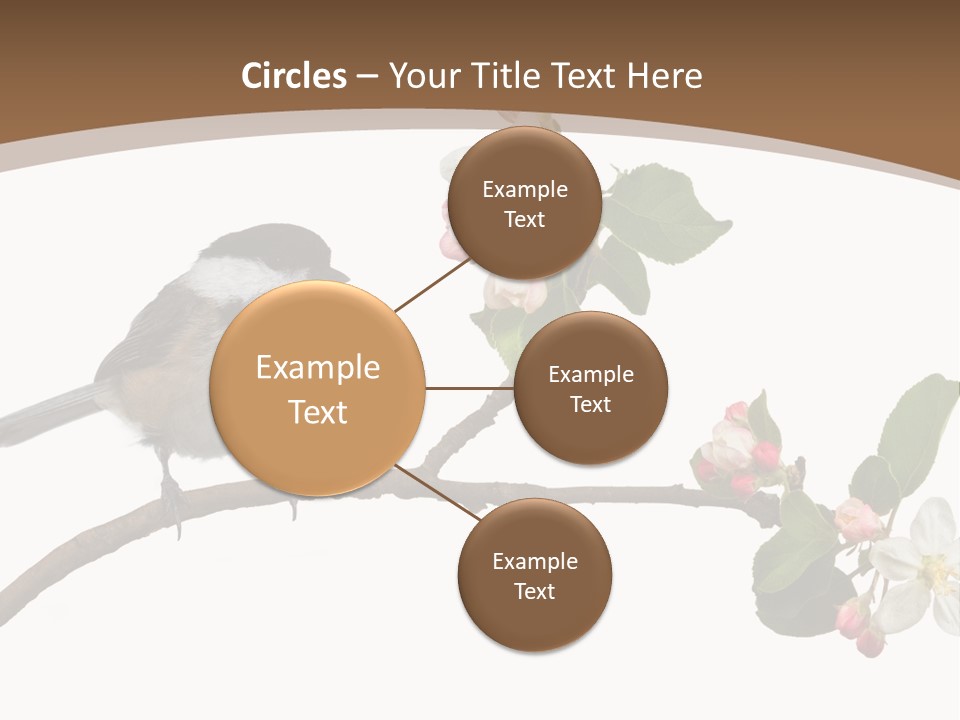 Flight Birding Bill PowerPoint Template