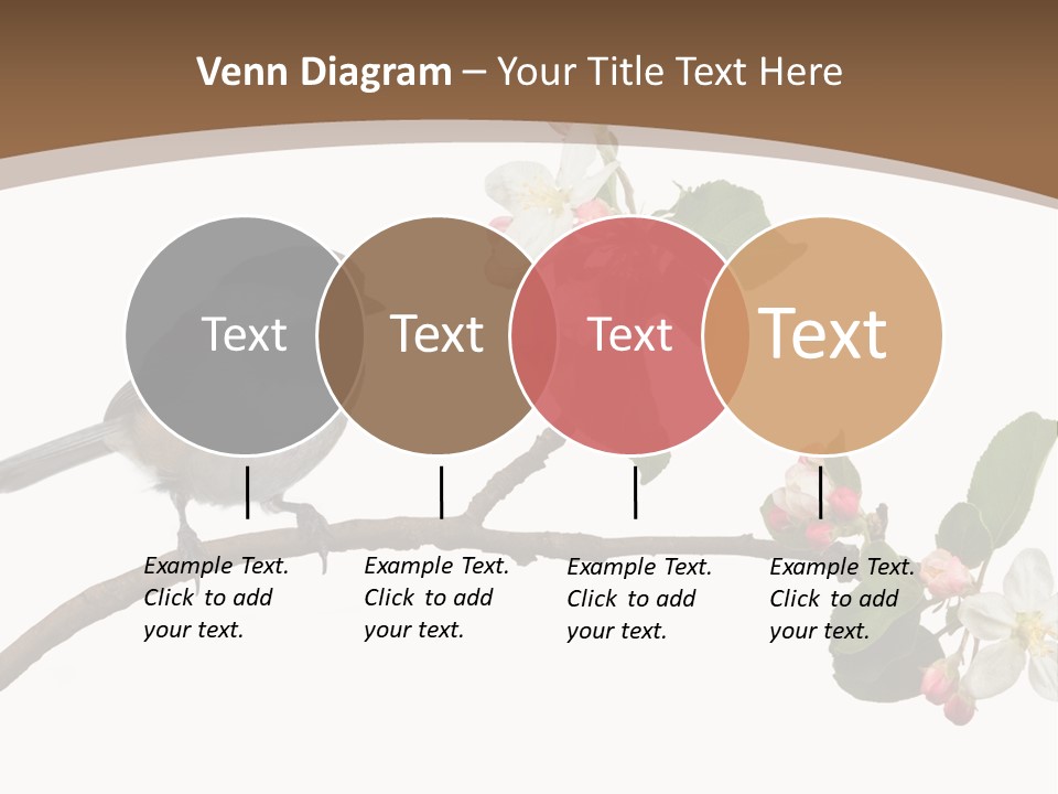 Flight Birding Bill PowerPoint Template