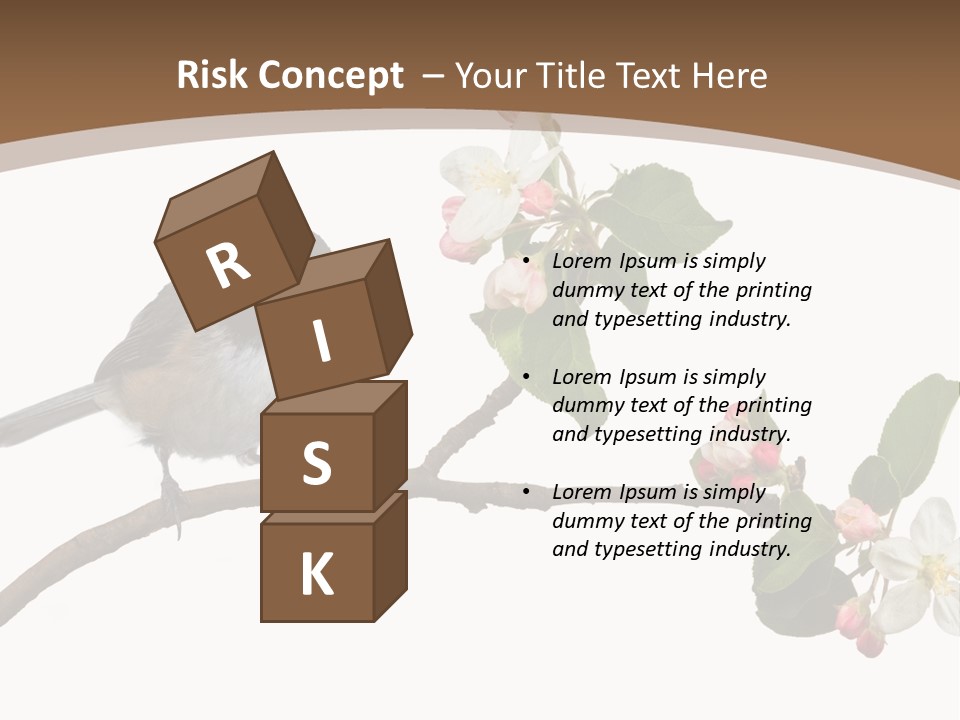 Flight Birding Bill PowerPoint Template