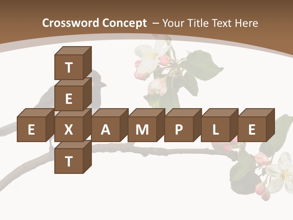 Flight Birding Bill PowerPoint Template