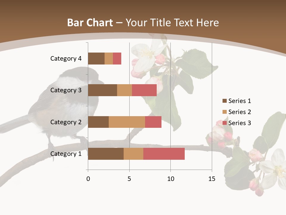 Flight Birding Bill PowerPoint Template