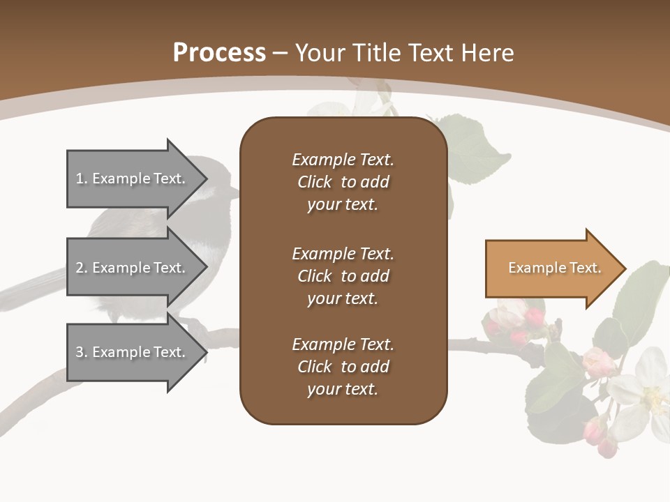 Flight Birding Bill PowerPoint Template