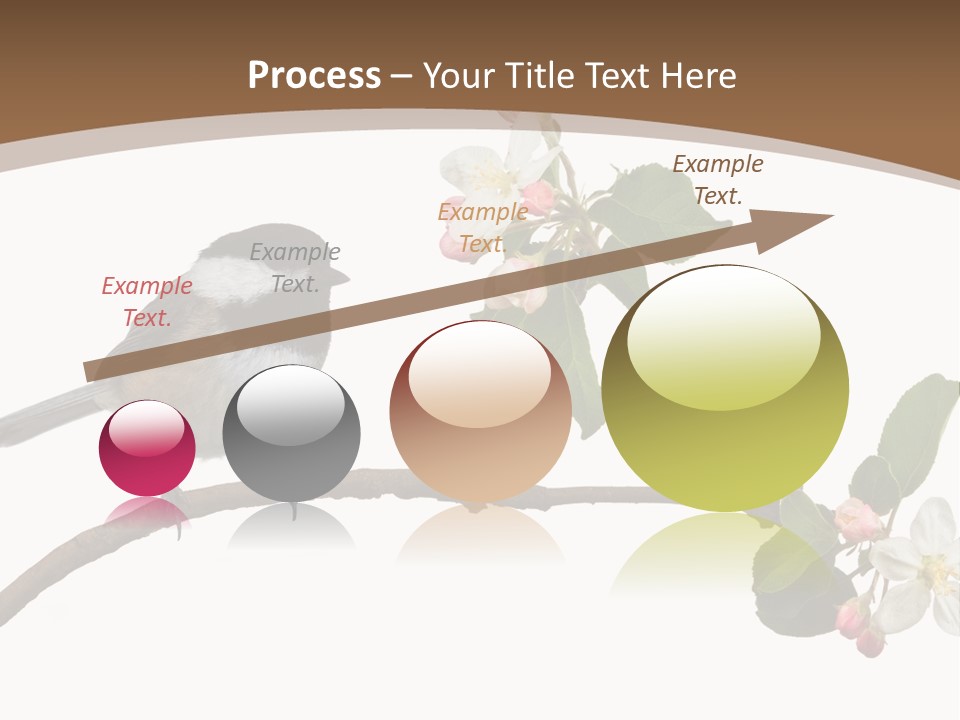 Flight Birding Bill PowerPoint Template
