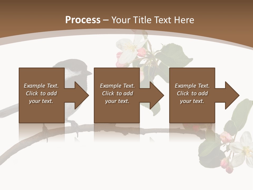 Flight Birding Bill PowerPoint Template