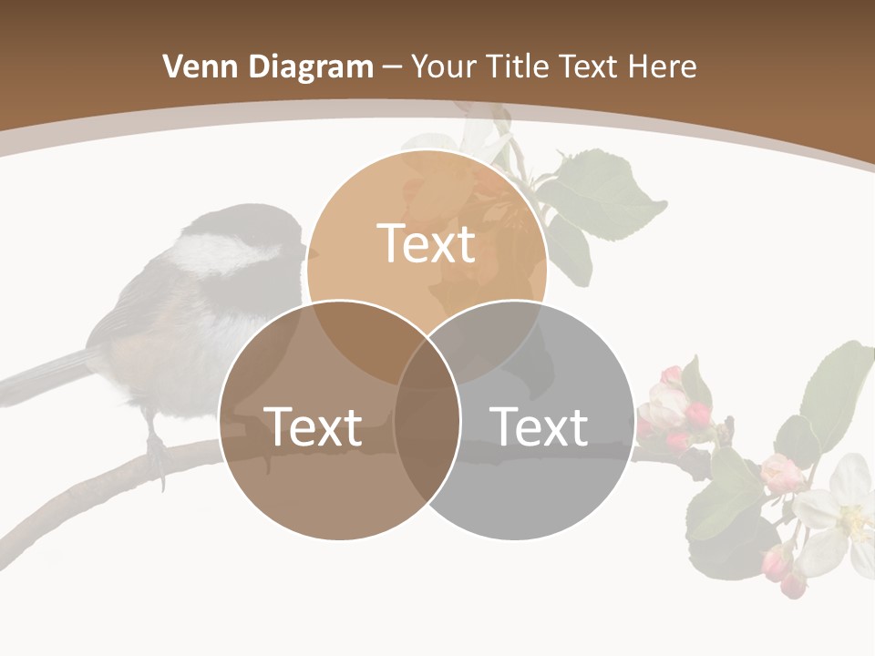 Flight Birding Bill PowerPoint Template