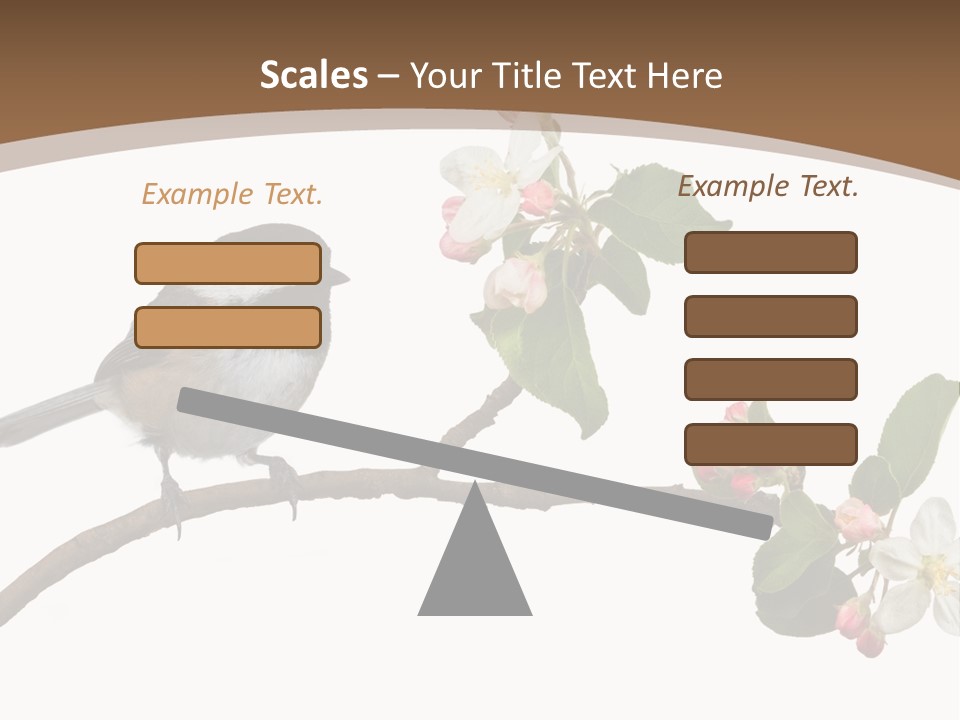 Flight Birding Bill PowerPoint Template