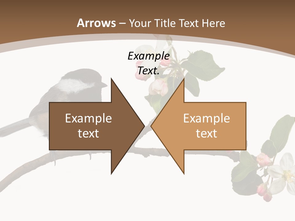 Flight Birding Bill PowerPoint Template